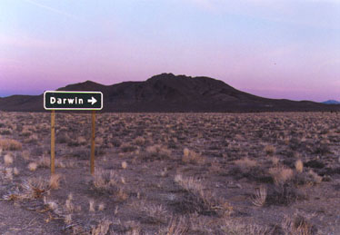 Photo of nifty road sign pointing to darwin, california.